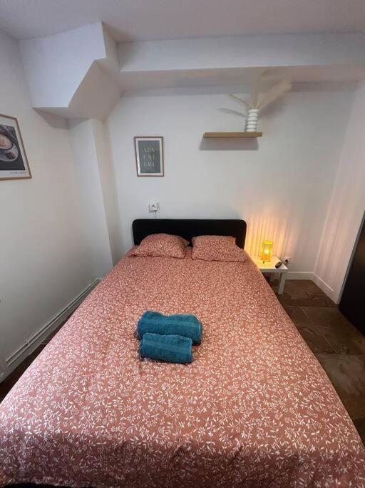 La Ptite Albi Home Нанси Екстериор снимка